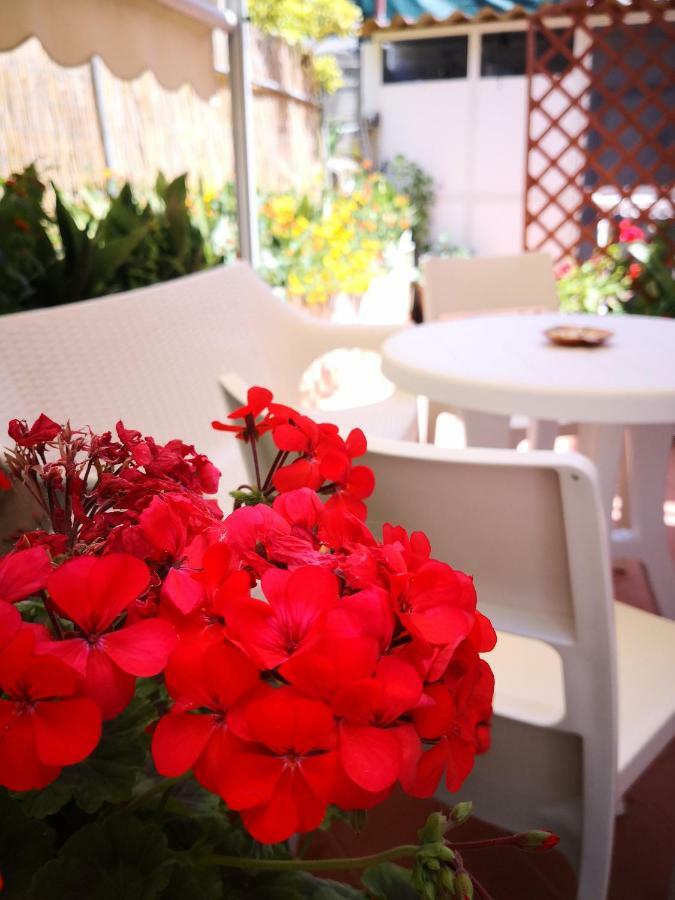 Le Sirene Castellabate Hotel Santa Maria di Castellabate Eksteriør billede